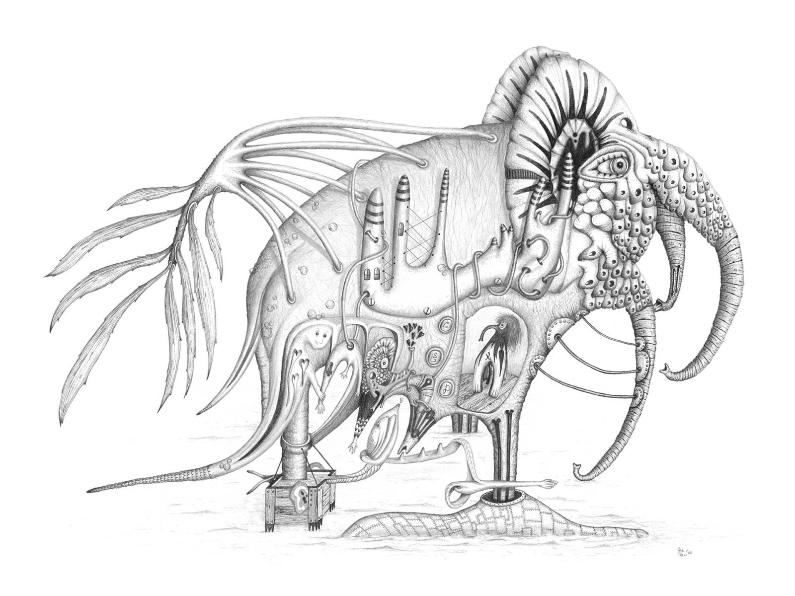Fantasy elephant with multiple trunks and fish tail